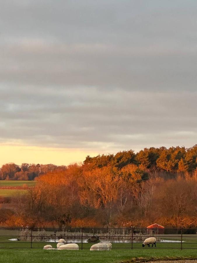 The Pheasantry Bed and Breakfast Wymondham  Exteriör bild